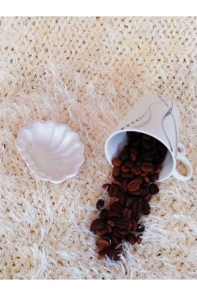 E.M.S AVM 6 τεμάχια White Oyster Coffee Side Μπολ Ζαχαροθήκη Λουκούμι Μπολ Μήκος: 7 cm Πλάτος: 5 cm.