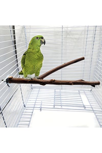 Alyones Natural Wooden Cross Bird Perch - Special Design for Beak & Nail Care