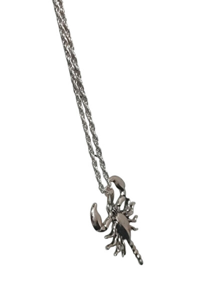 GnelD Scorpion Model Men's Silver Color Gift Necklace