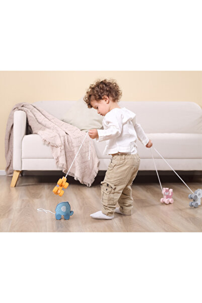 Viga Hedgehog Pull Toy, PolarB Viga