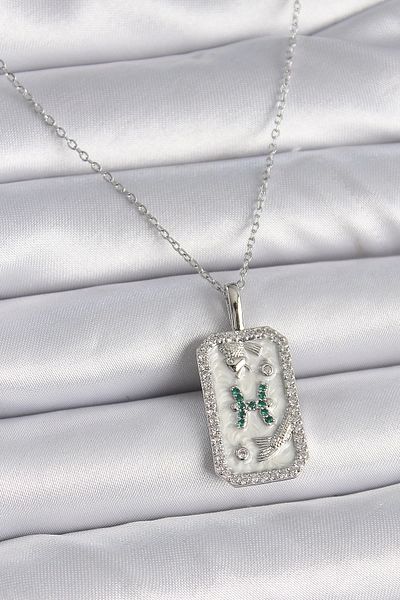 Clariss 316L Steel Silver Color Chain Pisces Zodiac Sign Zircon Stone Women's Necklace