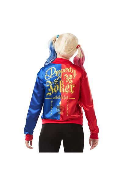 DC Harley Quinn costume kit for adults S