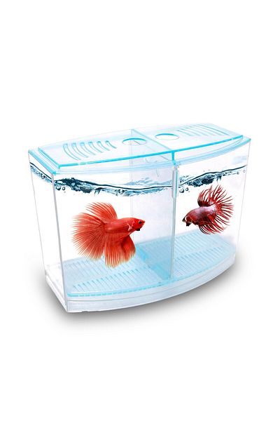 ATLANTİK Atlantic Betalık 9X19X14Cm 1800 ml Beta Tank