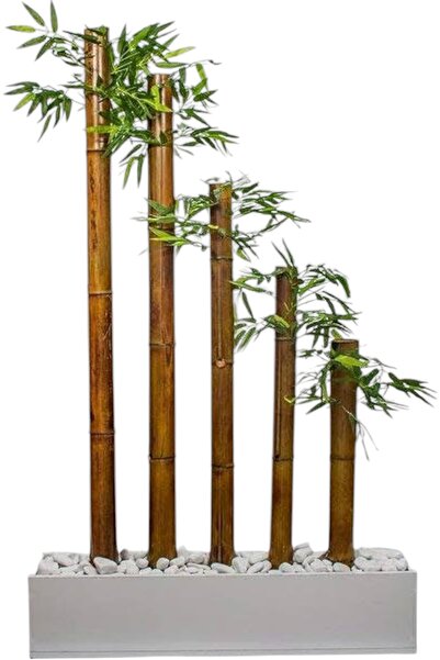 ERHAN FLOWERS ÇİÇEK & DEKORASYON 50 cm beyaz mdf saksıda simetrik 5 bambulu s...