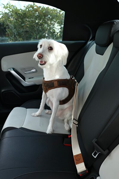 YES LAURA Araba Köpek Emniyet Kemeri Evcil Hayvan Araç Seyahat Tasması