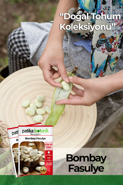 Patika Botanik 20 Adet Bombai Fasulye Tohumu