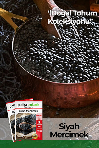 Patika Botanik 500 Adet Siyah Mercimek Tohumu