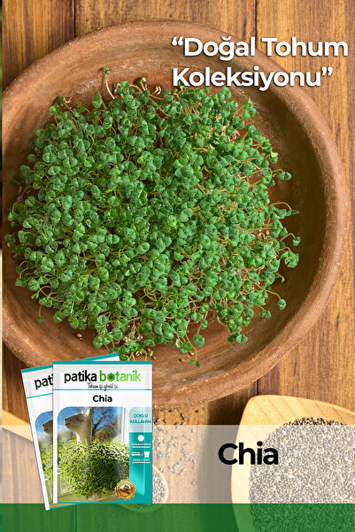 Patika Botanik 100 Adet Chia Tohumu