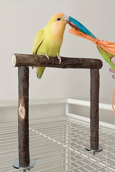 Alyones Bird Perch Stand with Natural Wood Clamp - Interactive Play and Exercise Station