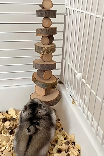 Alyones Doğal Karapaguianesis Ahşap Hamster Çiğneme Oyuncağı - Diş Taşlama Malzemesi