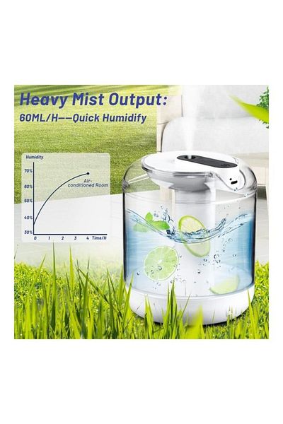 COOYA Portable Cool Mist Humidifier, Noiseless and Portable for Home and Office Use, White/Clear