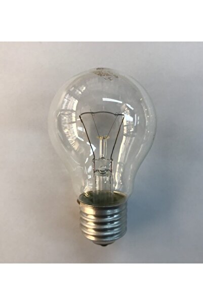 Philips Phılıps 100 Watt Şeffaf Ampul E27 Duylu-phılıps Normal Ampul-klasik Ampul