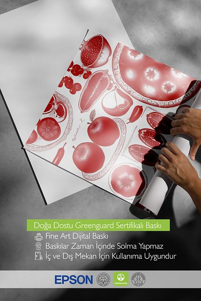 Postifull Unframed Poster, Pomegranate, Comfort Series Kitchen Wall Poster, No:109159