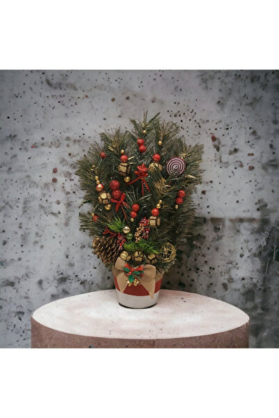 ATELIER EXQUISITE Yılbaşı Çiçeği Şık Saksıda