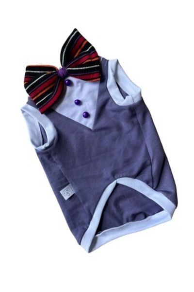 Barneystore Cat Dog Purple Tuxedo Athlete