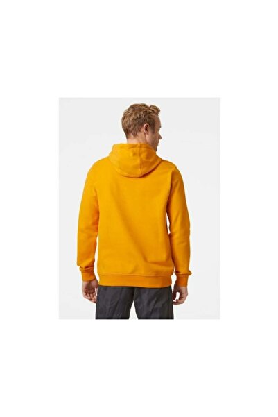 Helly Hansen Hh Logo Hoodie
