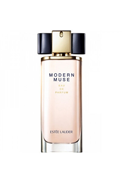 brangd barfium استي لودر مودرن موس اود بارفيوم 100مل