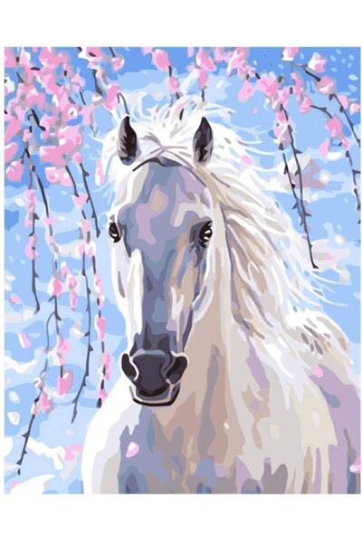 Nil Hobi Ats Dizayn Renkli At Sayılarla Boyama Hobi Seti