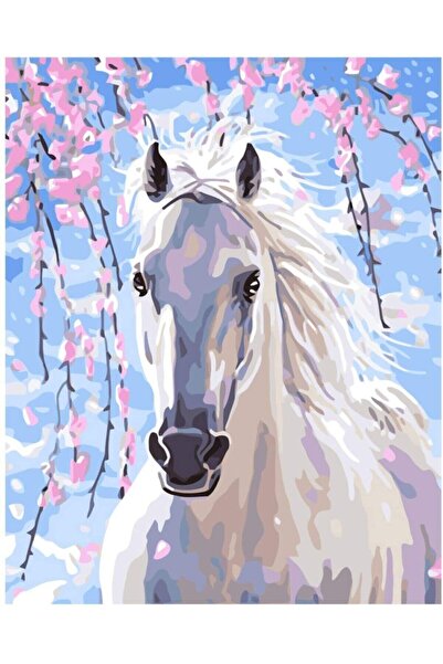 MENTAŞ Sayılarla Boyama Hobi Seti 30x40