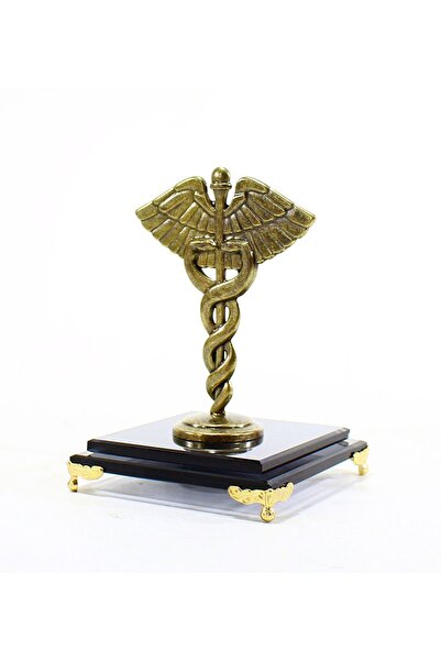 Art Online Metal Caduceus Sembolü - Doktorlar, Hemşireler, Eczacılar ve Veter...