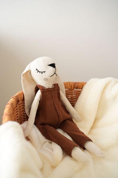 TBA COLLECTION Male Rabbit Sleeping Companion - Brown
