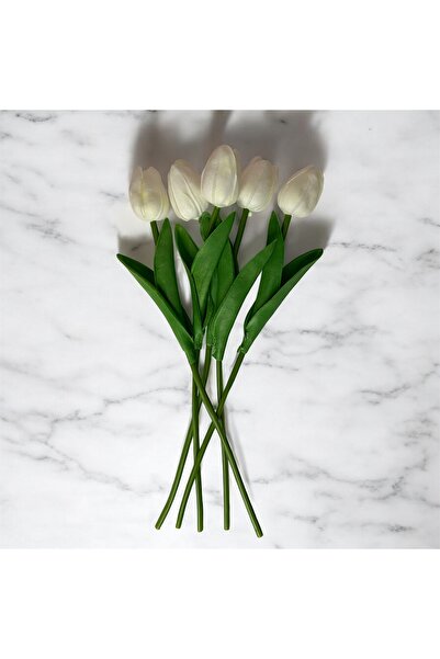 Home 5’li Islak Beyaz Lale Demeti