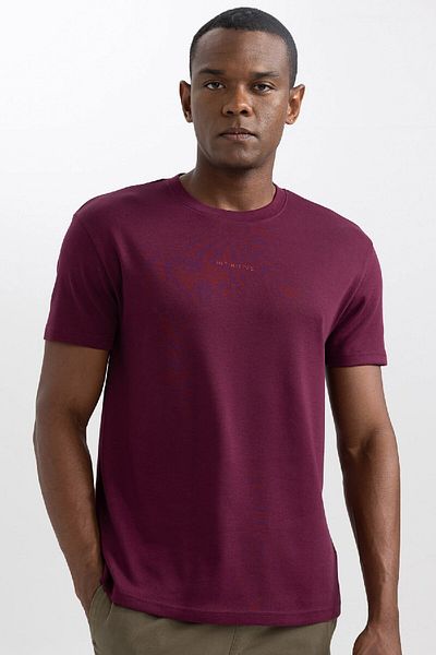 DeFacto Regular Fit Crew Neck Printed Short Sleeve Heavy Fabric T-Shirt A6395ax23au