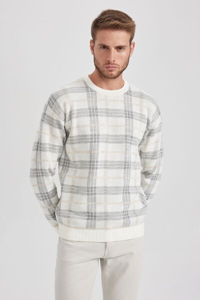 DeFacto Πλεκτό πουλόβερ Relax Fit Crew Neck με σχέδιο Y0619az23wn