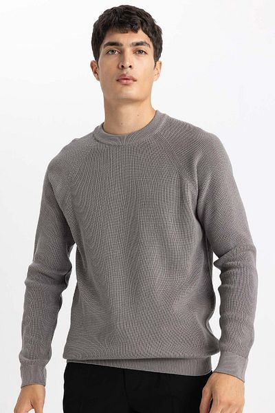 DeFacto Standard-Passform, normaler Schnitt, Rundhalsausschnitt, Basic, einfarbig, Strickpullover A8458ax24sp