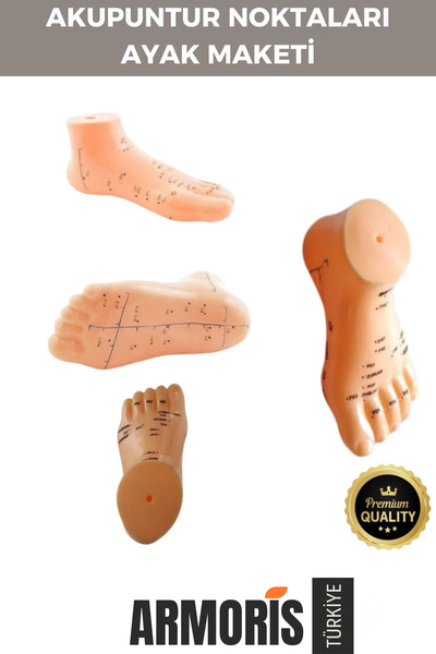 Armoris Yeni Kaliteli İnsan Anatomisine Uyumlu Muayene Maket 20 Cm Ayak Maket...