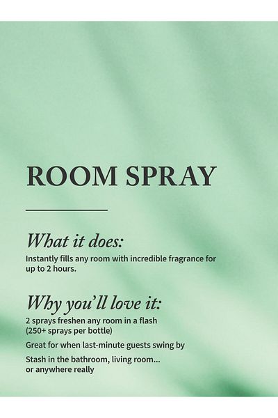 Bath & Body Works Eucalyptus Spearmint Concentrated Room Spray