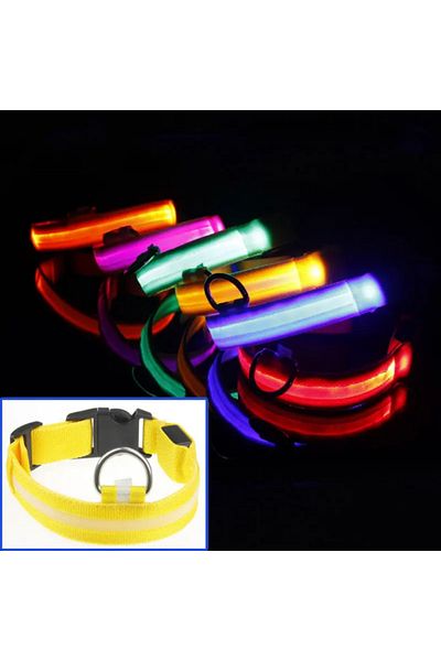 Pet Aksesuar Led Lighted Collar, Dog Collar, m Bedan