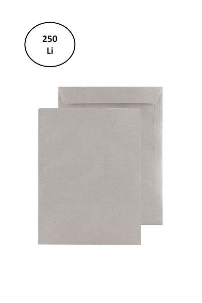 Skygo Asil Doğan As-0861 Bag Envelope Kraft 260x350 mm 90 gr