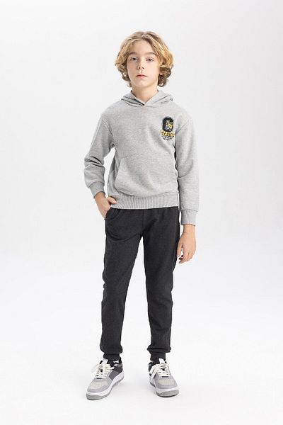 DeFacto Boy's Printed Hooded Thick Sweatshirt B9012a823cw