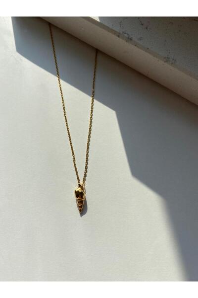shop deniz kabuğu minimal çelik kolye