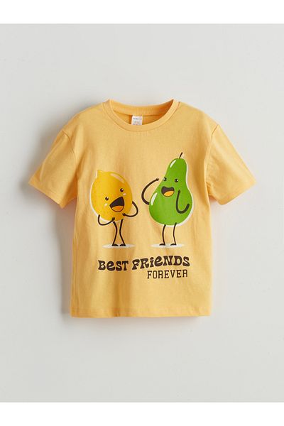 LC Waikiki Crew Neck Printed Boy's T-Shirt