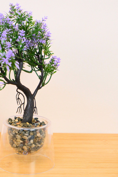 Digithome Dekoratif Çift Cıdar Saksılı Yapay Lavanta Çiçeği Lila 25cm EVA-5855 C1-1-423