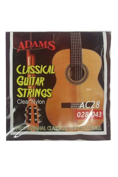 Adams Acoustic Guitar String
