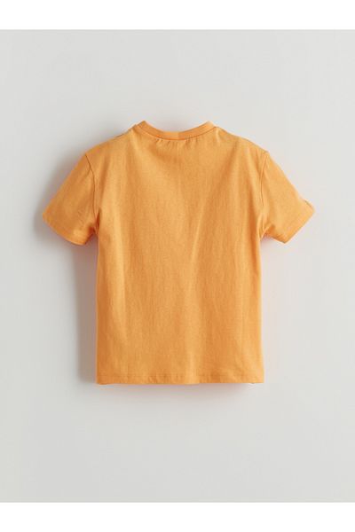 LC Waikiki Crew Neck Printed Boy's T-Shirt