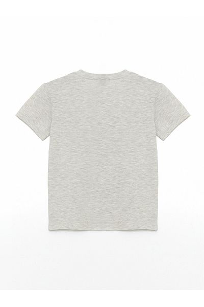 LC Waikiki Crew Neck Boy's T-Shirt