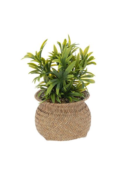 Atmosphera Easy Maintenance Realistic Looking Decorative Artificial Plant with Pot 20cm 196755