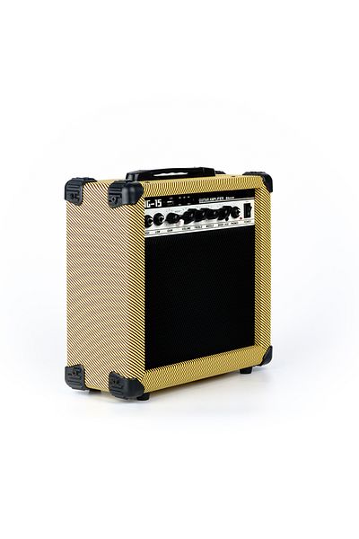 D-sound Ag-15 Watt Dual Input Instrument Amplifier