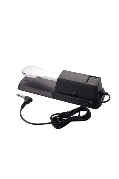 D-sound Tb-100 Sustain Pedal - for Organ and Piano