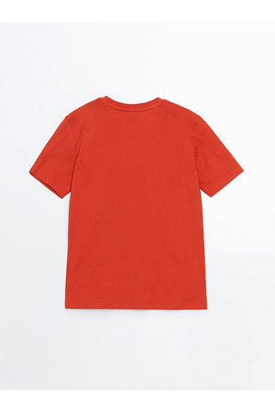 LC Waikiki Crew Neck Boy's T-Shirt