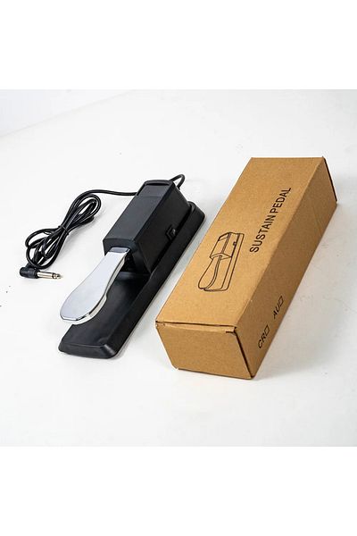 D-sound Tb-100 Sustain Pedal - for Organ and Piano