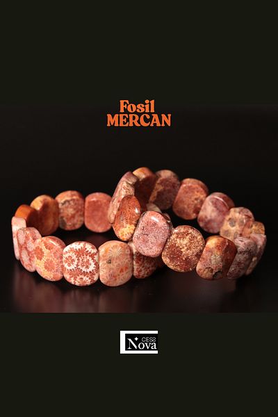 CessNova Certified Fossil Coral Special Cut Roleks Bracelet
