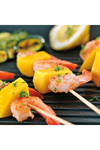 KELA Keck Lang Grill plate with non-stick surface 24 x 30 cm KERROS