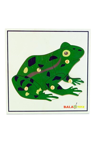 BALATOYZ لغز الضفدع