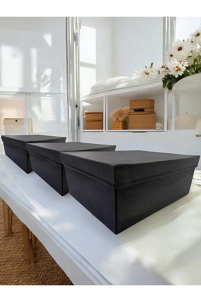 Balkan Room 3 Pieces Flip Lid Cabinet Organizer Box Multi-Purpose Storage Box Xxlarge 50X40X20 cm