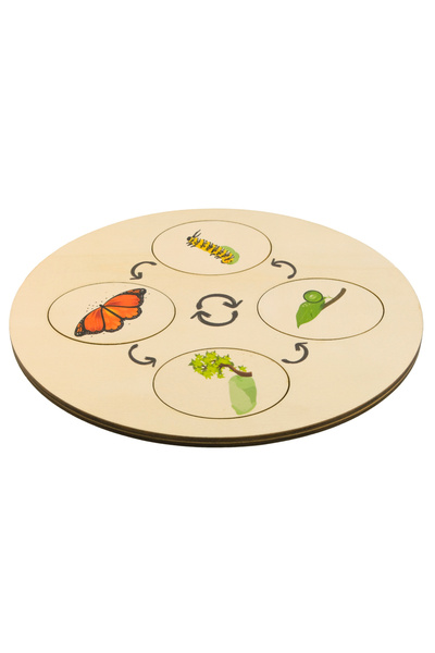 BALATOYZ Montessori Life Cycle - Special Light Cut for ChilDren